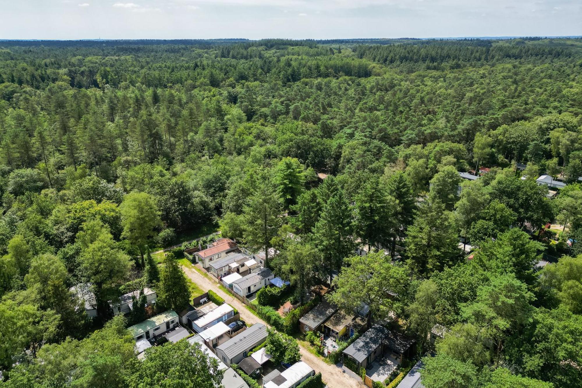Veluwe Hoenderloo Luxury Chalet With Private Sauna And Hot Tub - Swimming Pool Tennis Court Supermarket Bowling Alley Theatre And Entertainment For Children Buitenkant foto